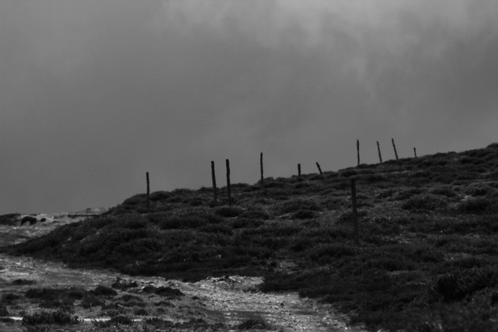 AAWT Snow Poles leading to Ropers Hut, AAWT Ropers Hut Bogong High Plains