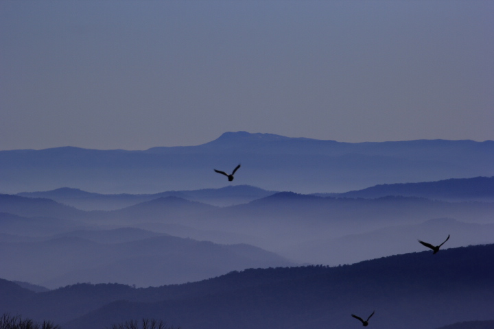 AAWT As the Crow Flies (Mt Jugungal), AAWT As the Crow Flies (Mt Jugungal)