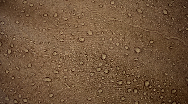 Water Droplets on the Fly, AAWT The Knobs Track Campsite