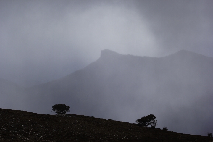 The Viking throught the Mist, AAWT Mt Howitt