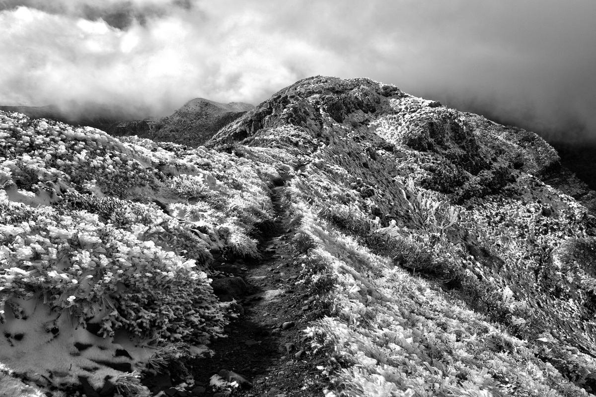 Icy Trail ontop of the Crosscut Saw, AAWT Crosscut Saw, Alpine National Park