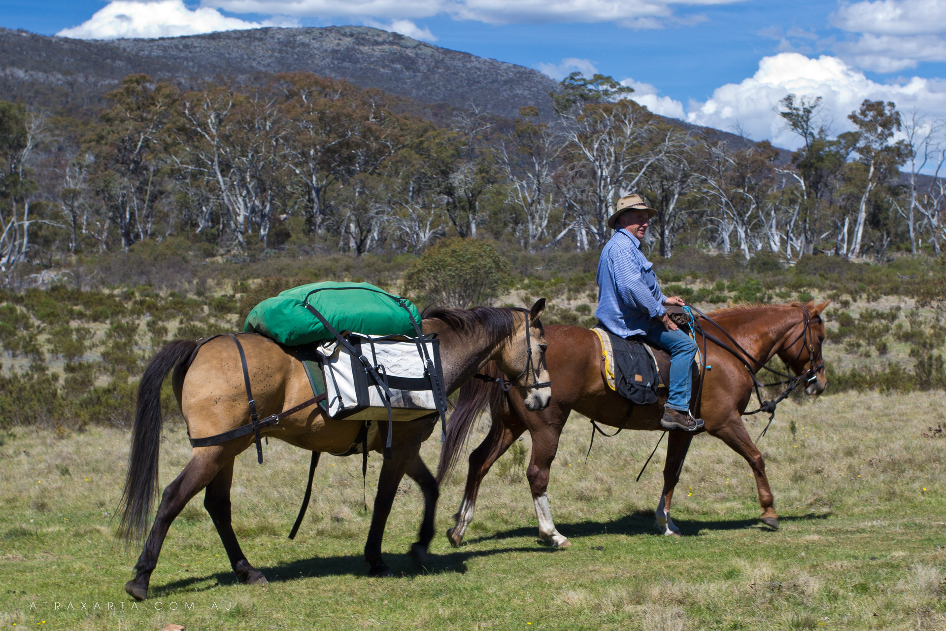 Travelling Friends, Pockets Hut, Kosciuszko National Park, NSW