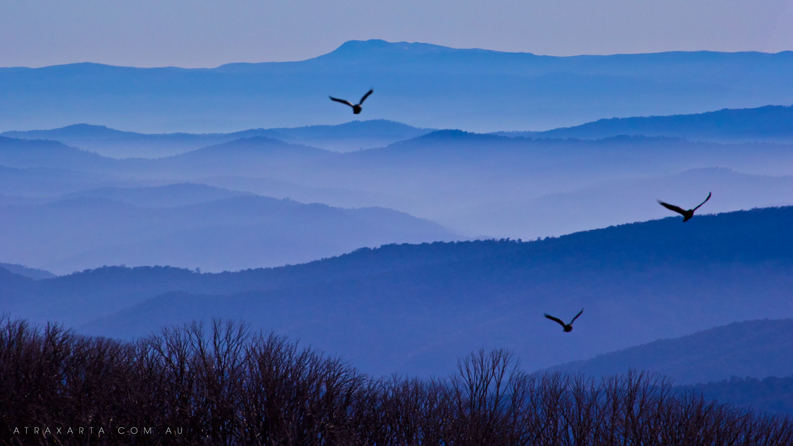 As the Crow Flies to Jugungal, Alpine National Park, Mt Bogong