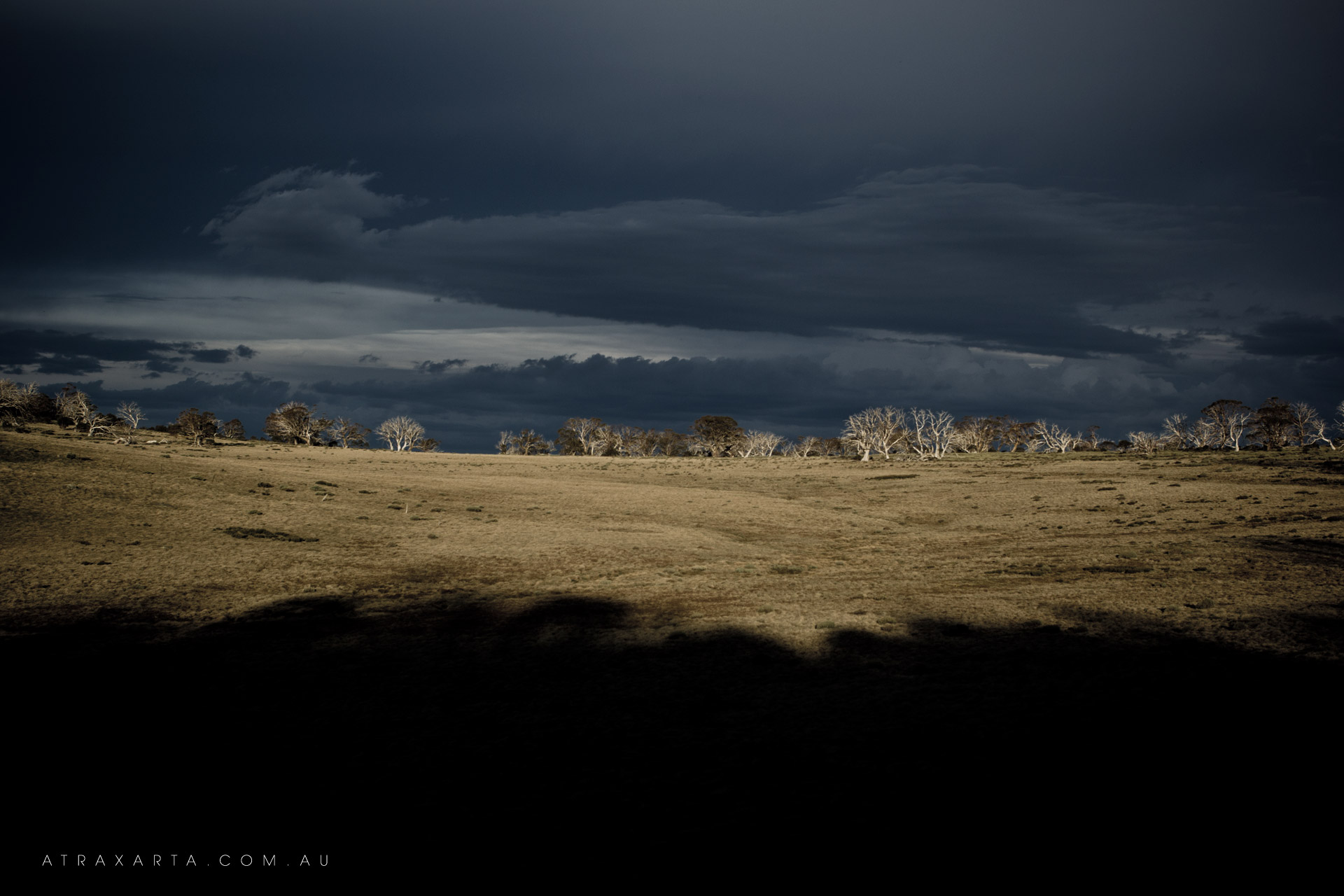 Creep, Kosciuszko National Park, Cesjacks Hut