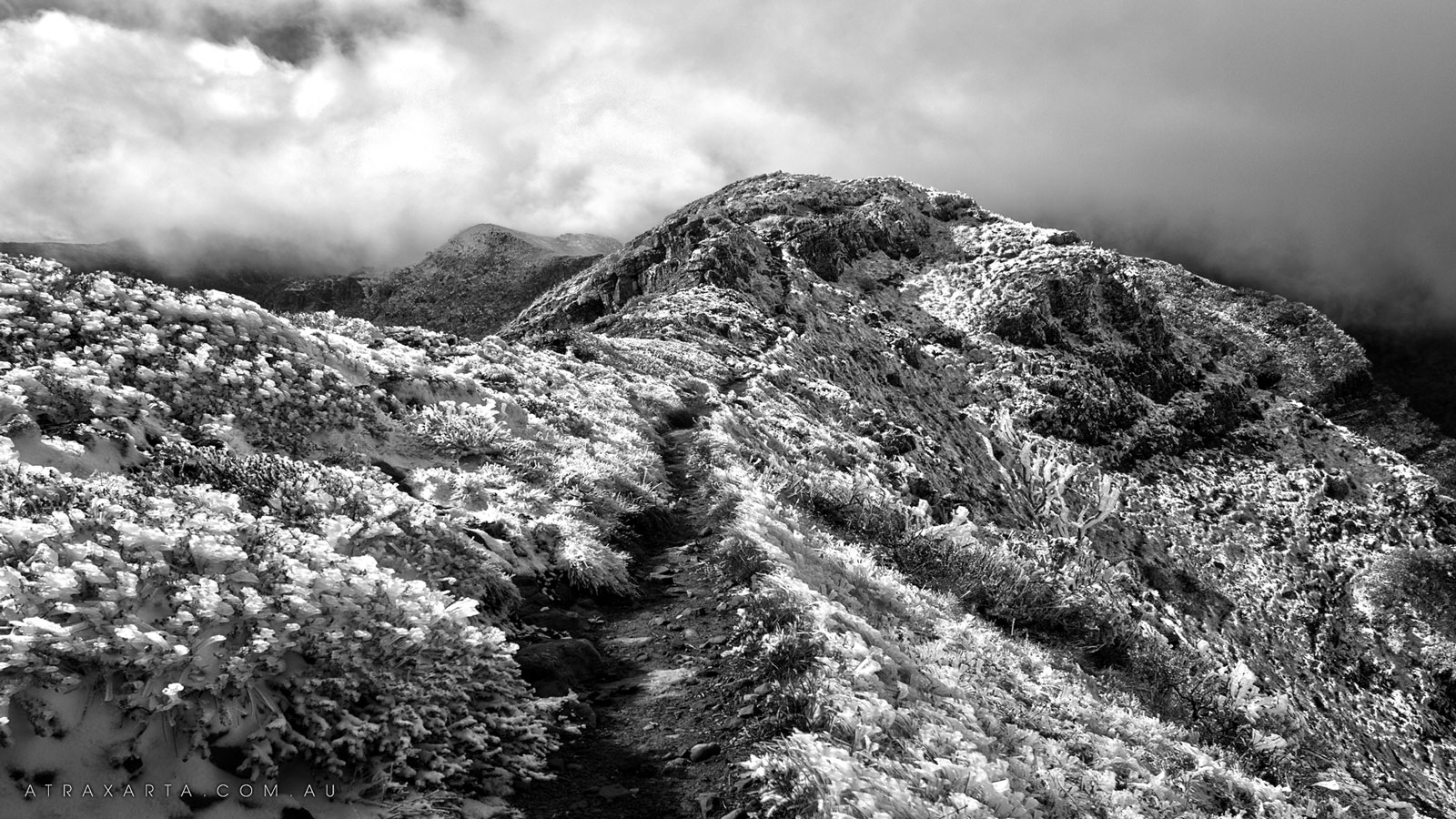 Frozen Crosscut Saw, Alpine National Park, Crosscut Saw