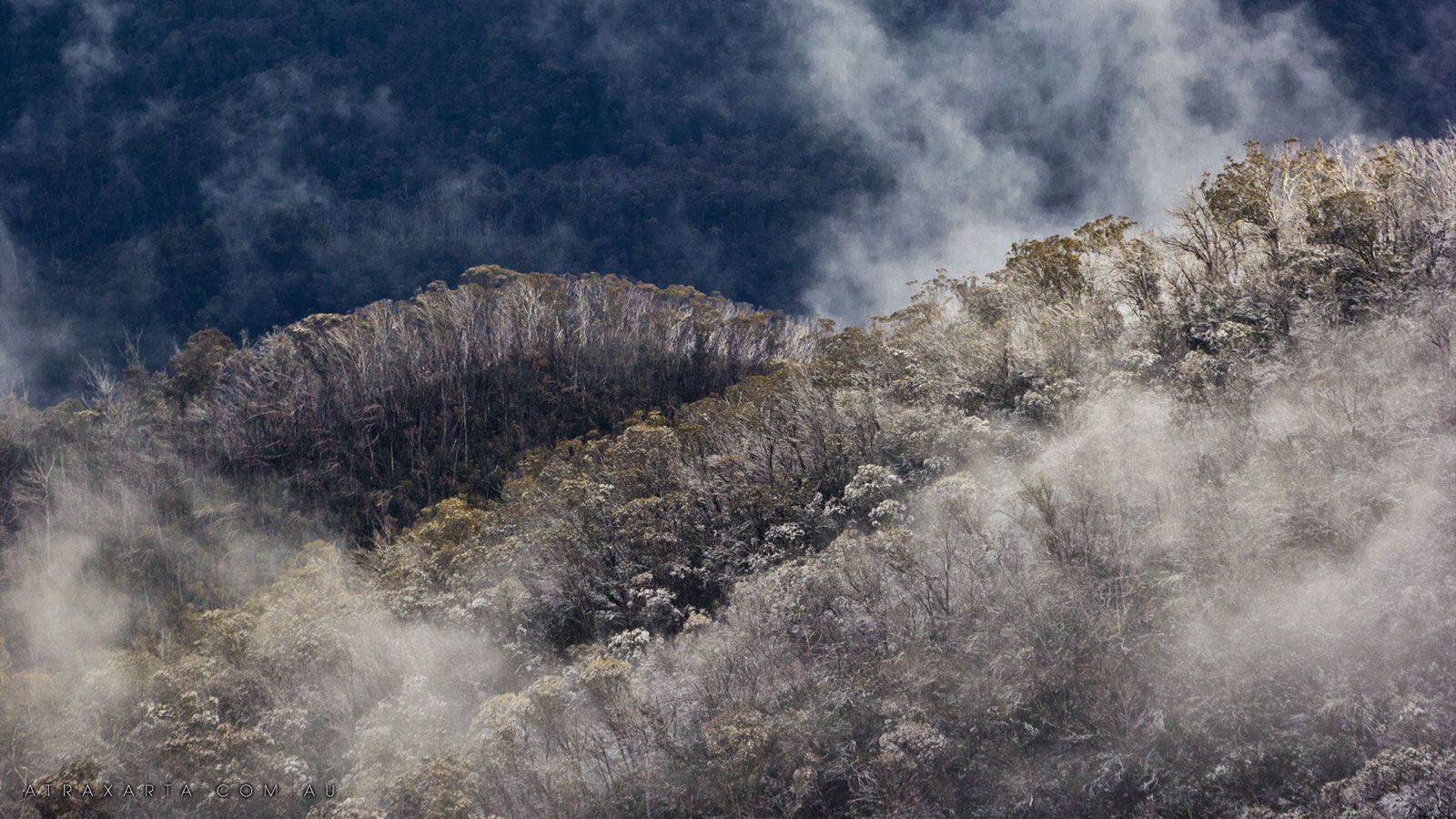 Fresh Snow, Alpine National Park, Mt Howitt