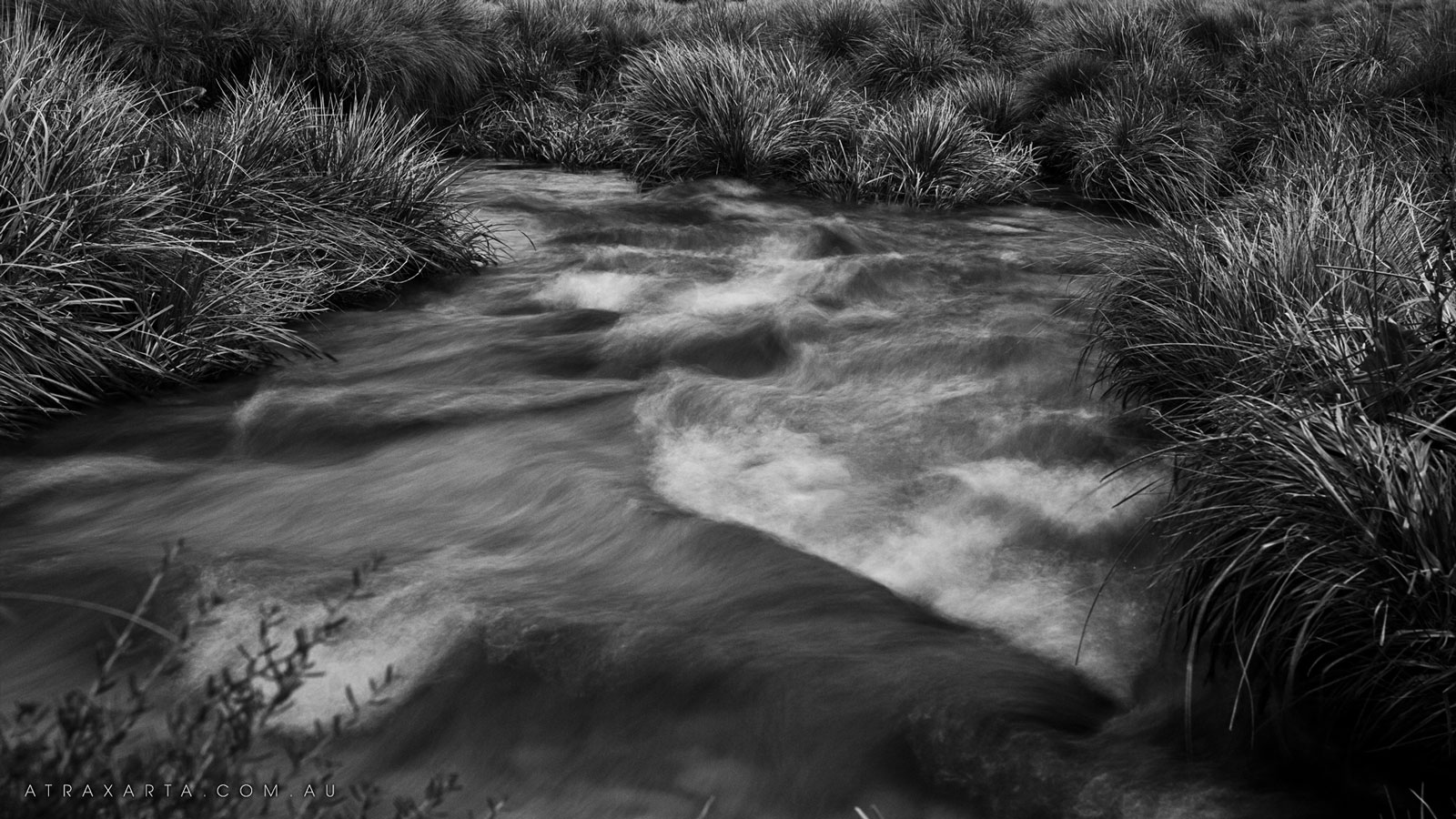 Rapids, Alpine National Park, Cowbungra River