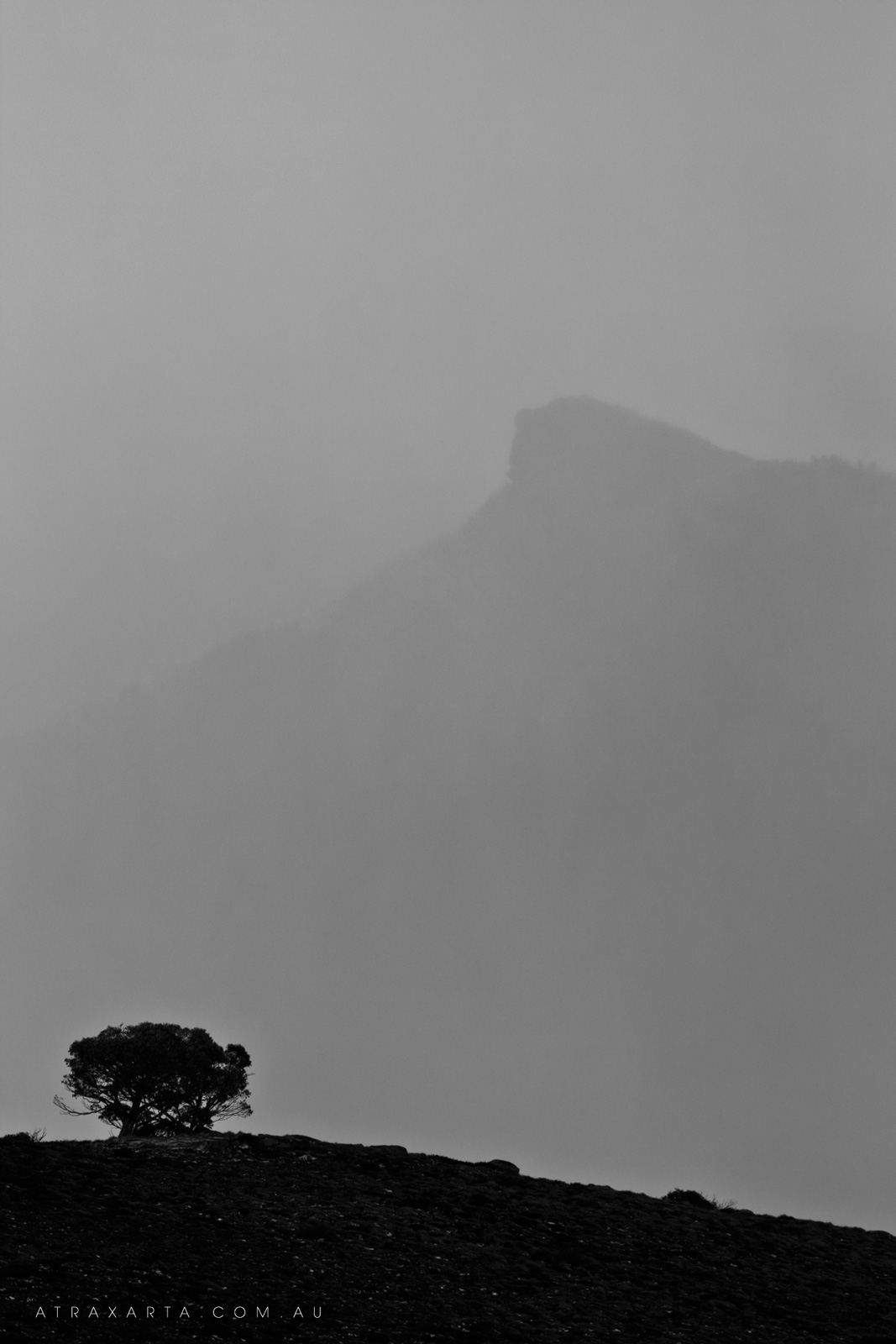 Terror in the Mist, Alpine National Park, The Viking