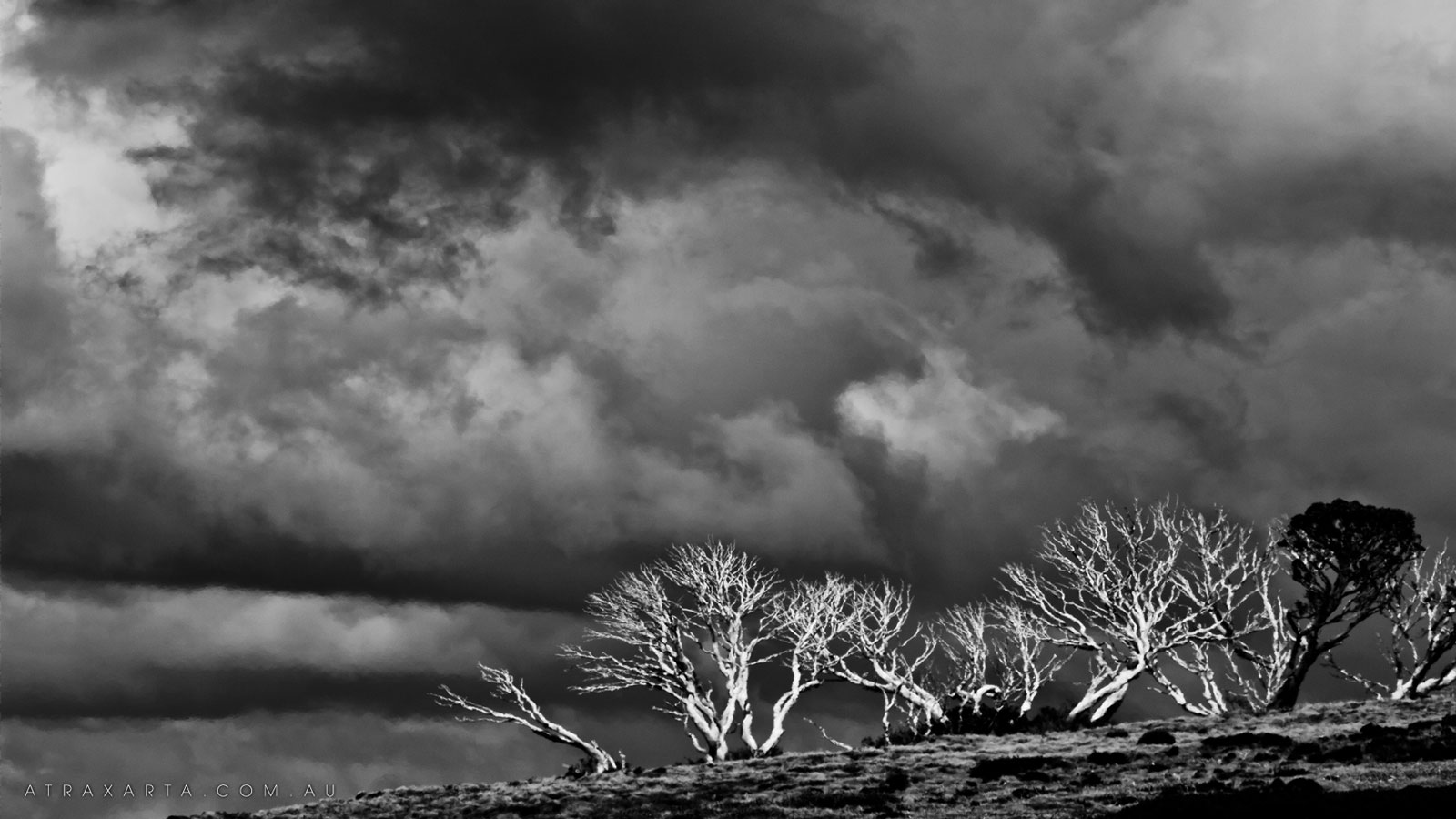 To Brood, Alpine National Park, Mt Nelse