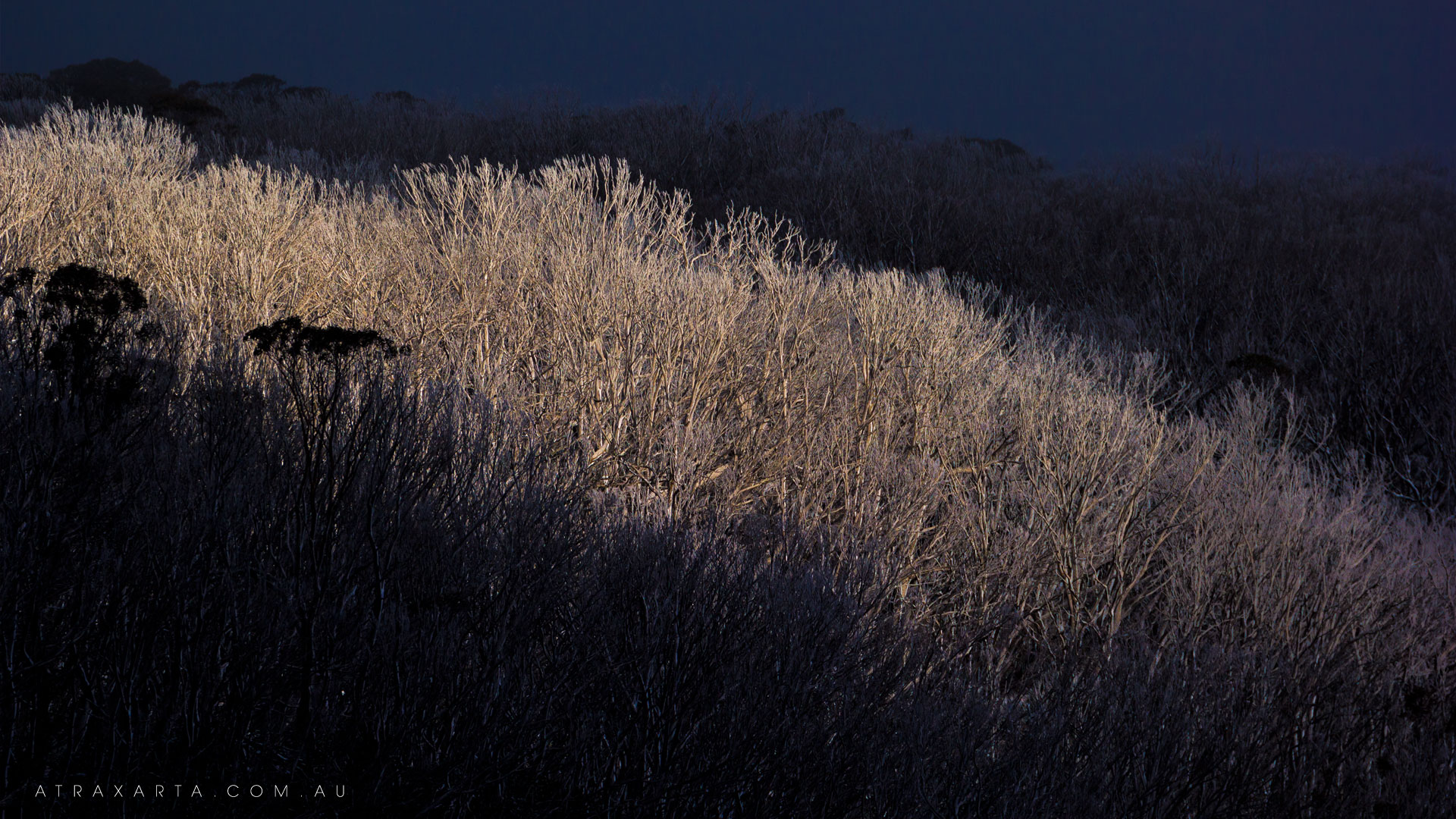 Streak of Light, Alpine National Park, Macalister Springs