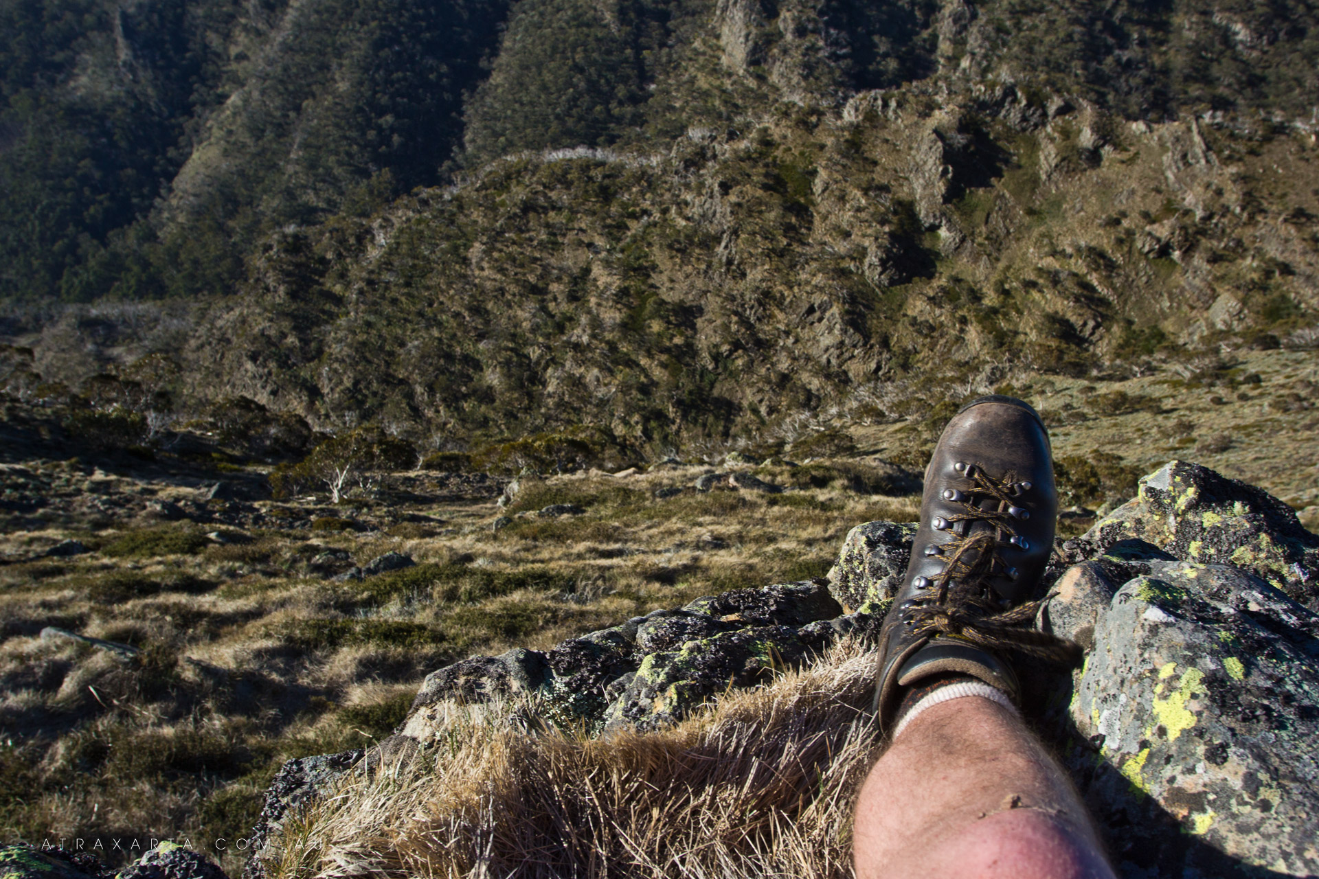 Straight Down, Mt Howitt, Alpine National Park, Victoria