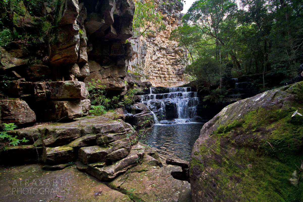 BMHR020, Wheeny Gap near Bilpin, Blue Mountains