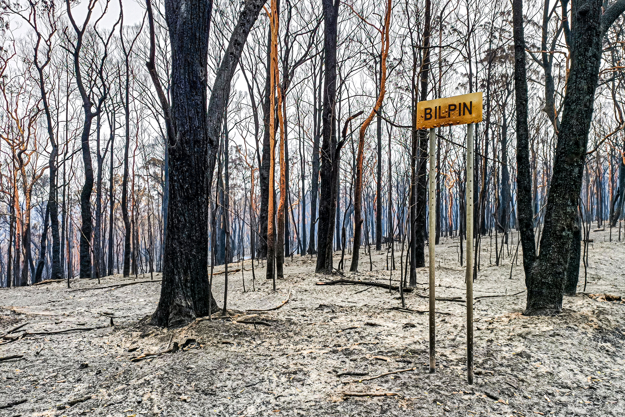 The Morning After, Blue Mountains