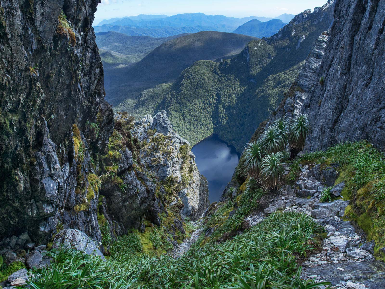 TASAP0006, Eastern Arthurs, South-West Tasmania