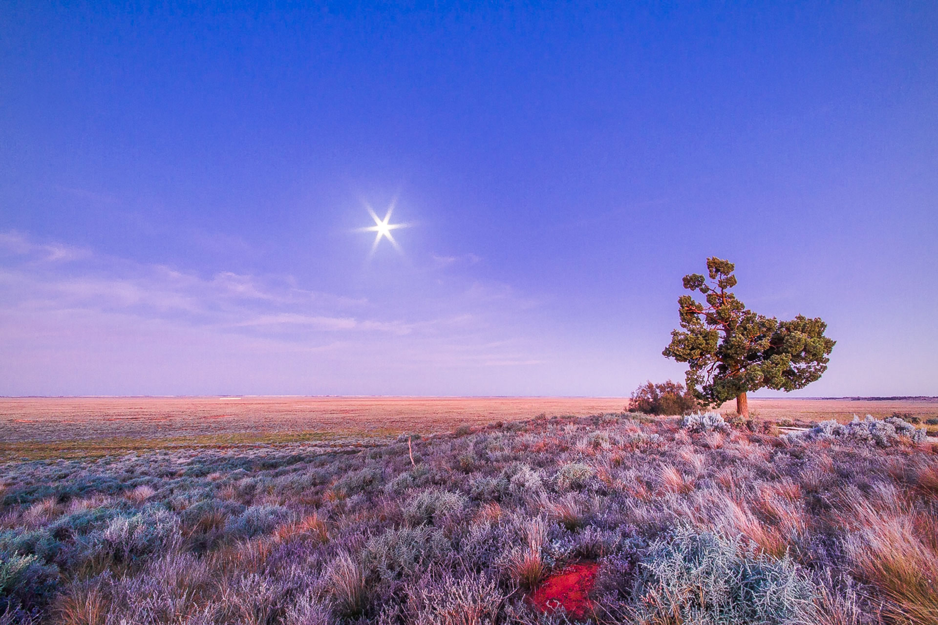 Lake Mungo Moonrise (1), Lake Mungo, Outback NSW