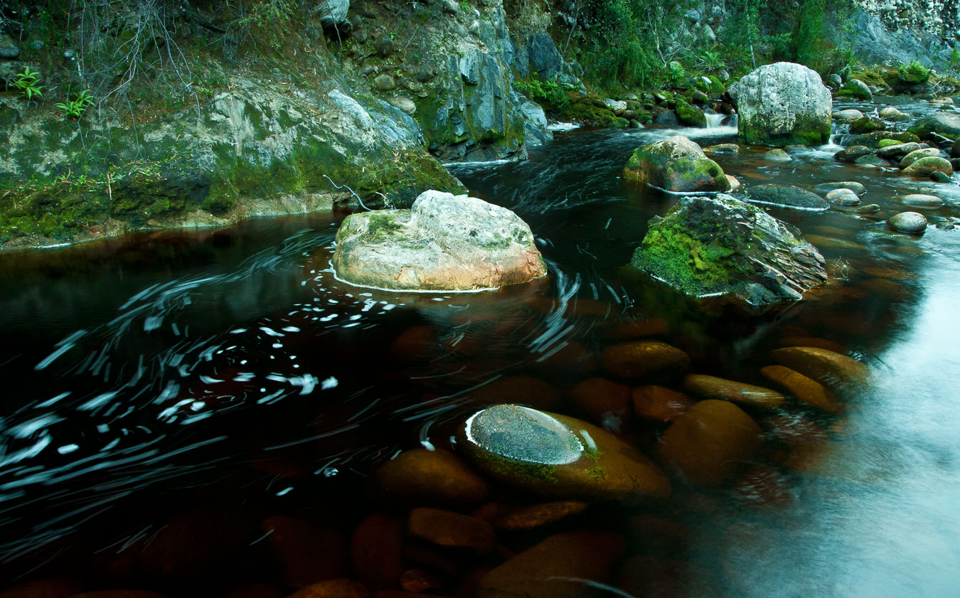 TASAP0008, Lousia River, South West Tasmania