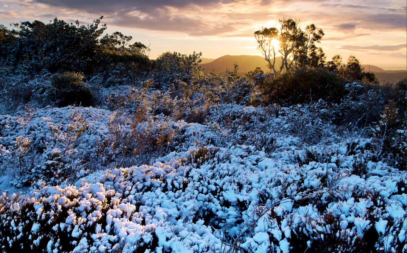 BMHR008, Hat Hill, Blue Mountains