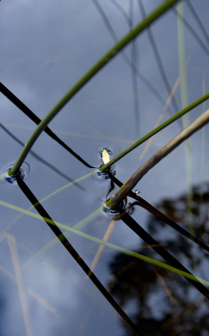 TASAP0007, Lake Veera, Tasmania